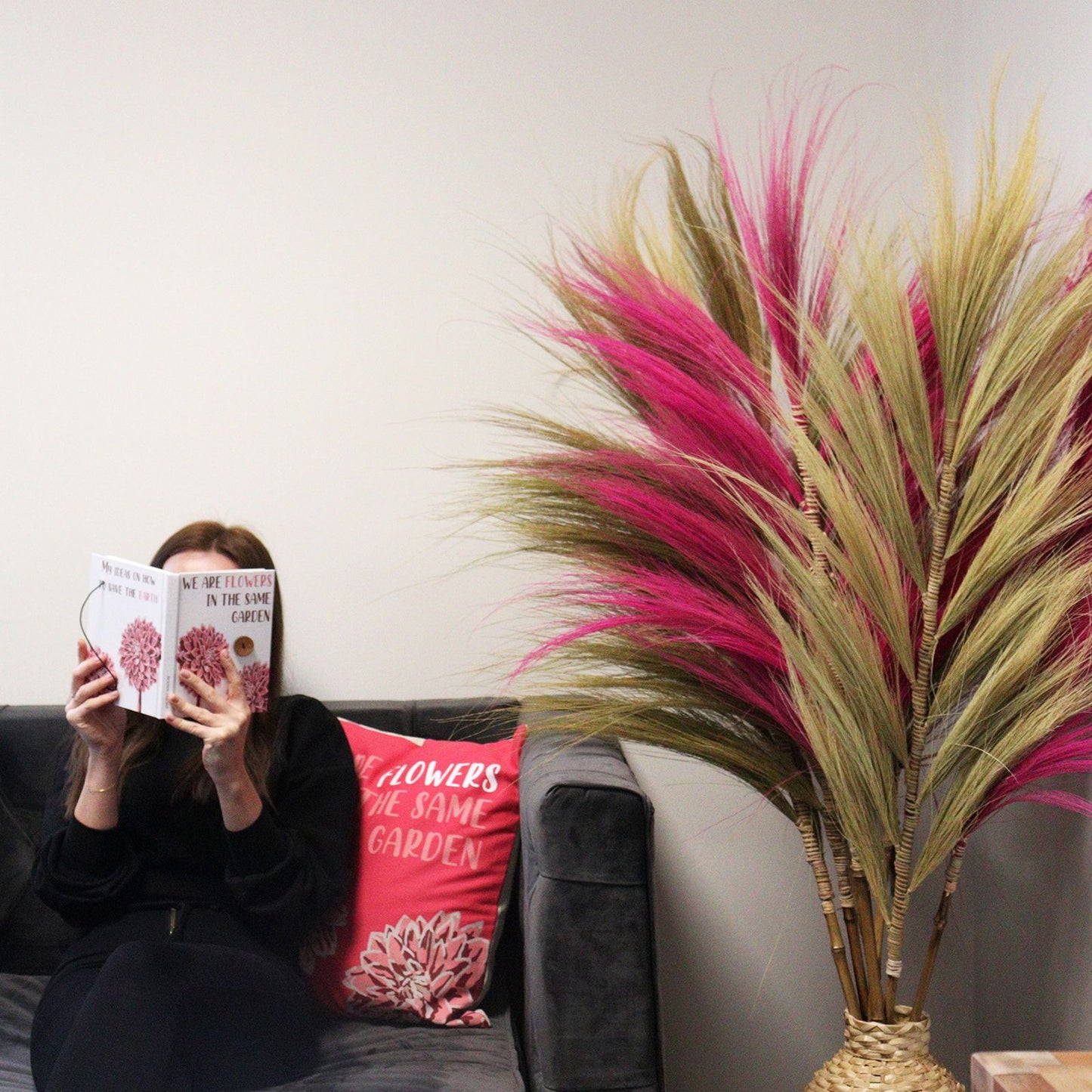 Palmera Rosa de Rayung- 1.6m