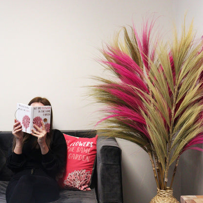 Palmera Rosa de Rayung- 1.6m