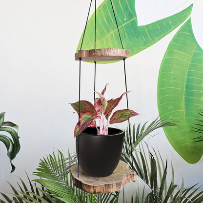 Estante colgante de madera Gamel - Dos niveles