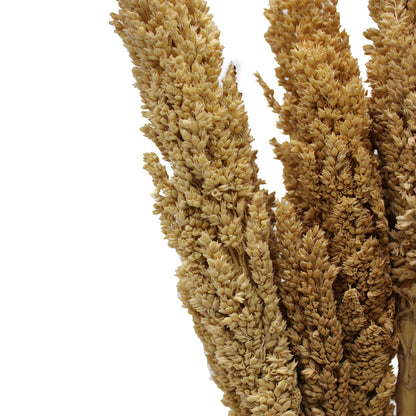 Manojo de Hierba Cantal - Natural