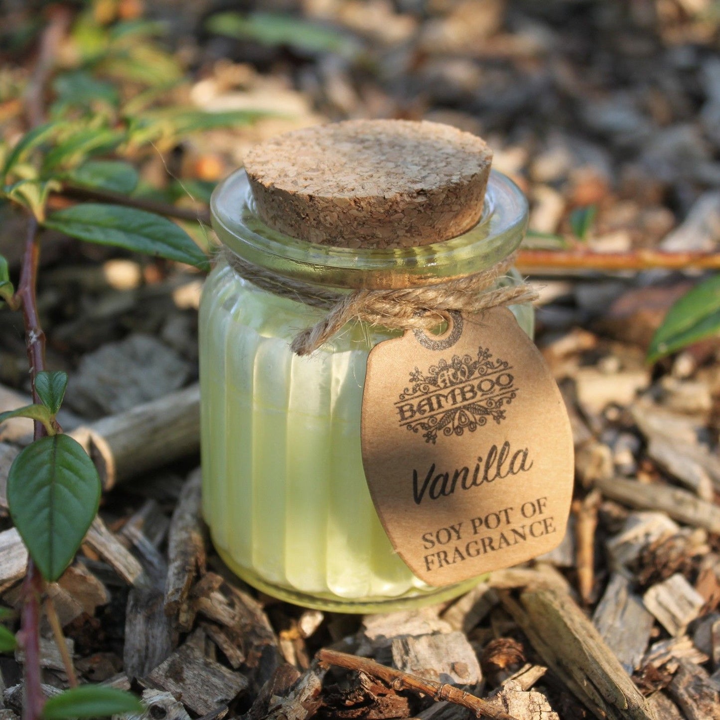 Soy Wax Jar Candle - Vanilla