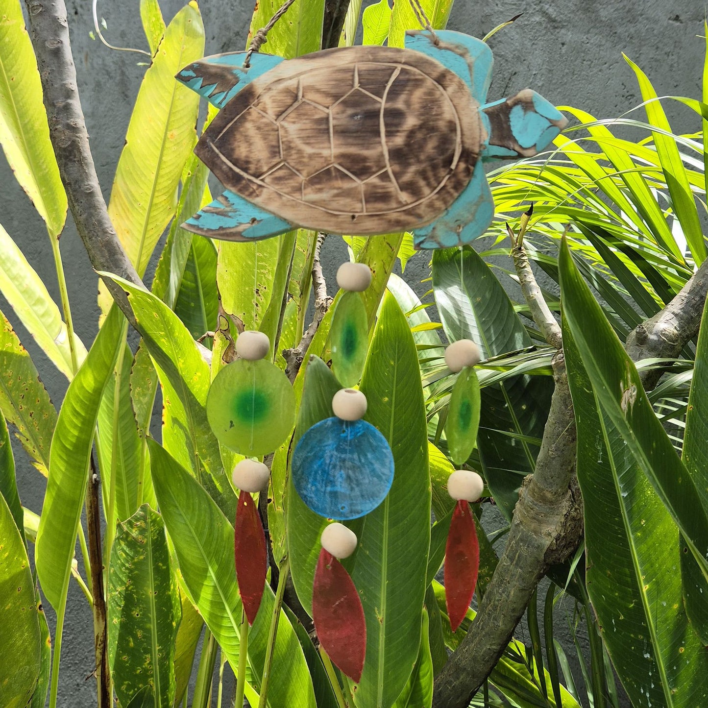 Turtle carving in Aqua and Drop