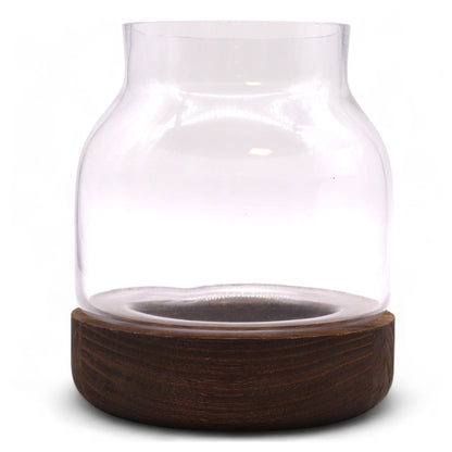 Medium Terarium in Dark Tung Wood - 16x18cm