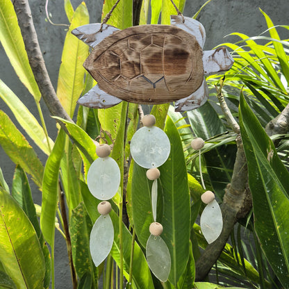 Talla de Tortuga en Blanco Lavado y Gota Natural