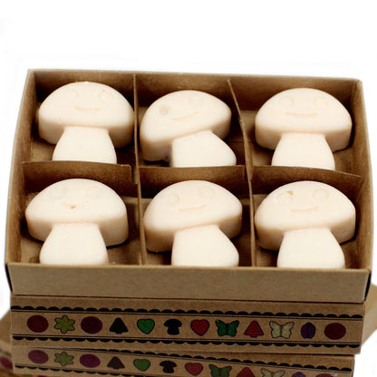 Box of 6 Soy Wax Melts - Nutmeg and Vanilla