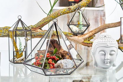 Glass Terrarium - Lantern