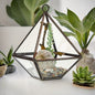 Glass Terrarium - Little Diamond