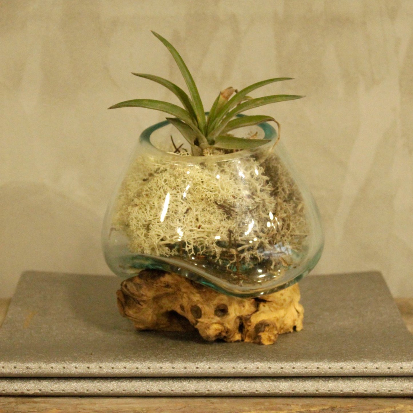 Bol en verre fusionné sur bois