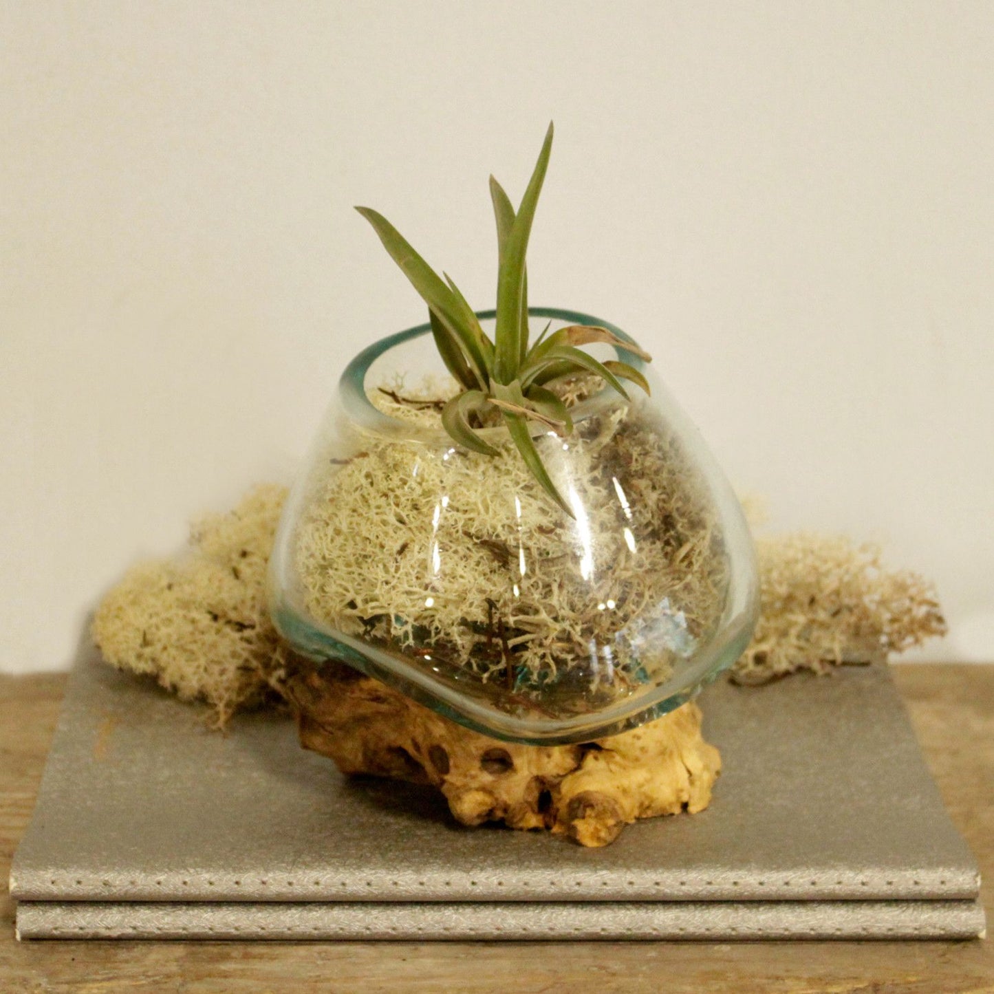 Bol en verre fusionné sur bois