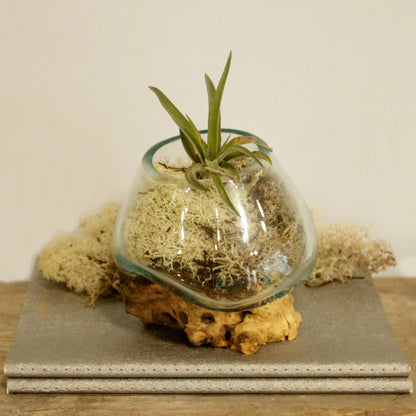 Bol en verre fusionné sur bois