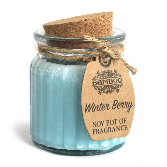 Soy Wax Jar Candle - Winter Berry