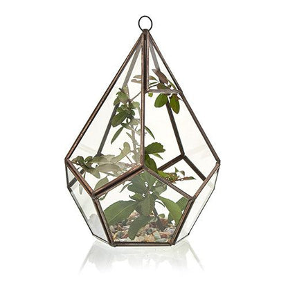 Glass Terrarium - Grand Pentagon