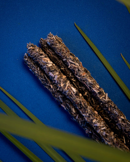 Les 5 Éléments Eau - Renaissance