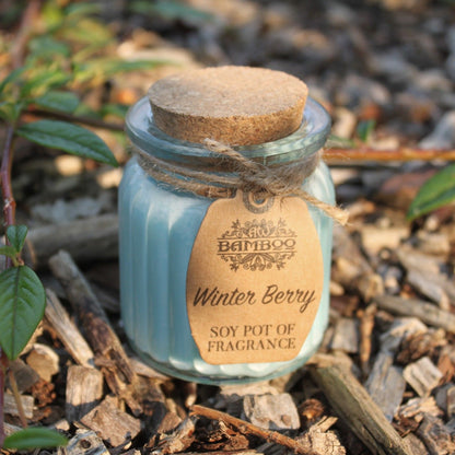 Soy Wax Jar Candle - Winter Berry