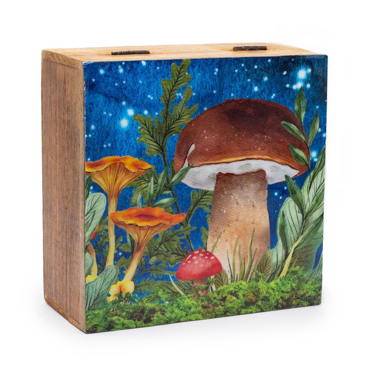 Grande boîte carrée 15x17,5x8cm - Motif champignon bleu sarcelle