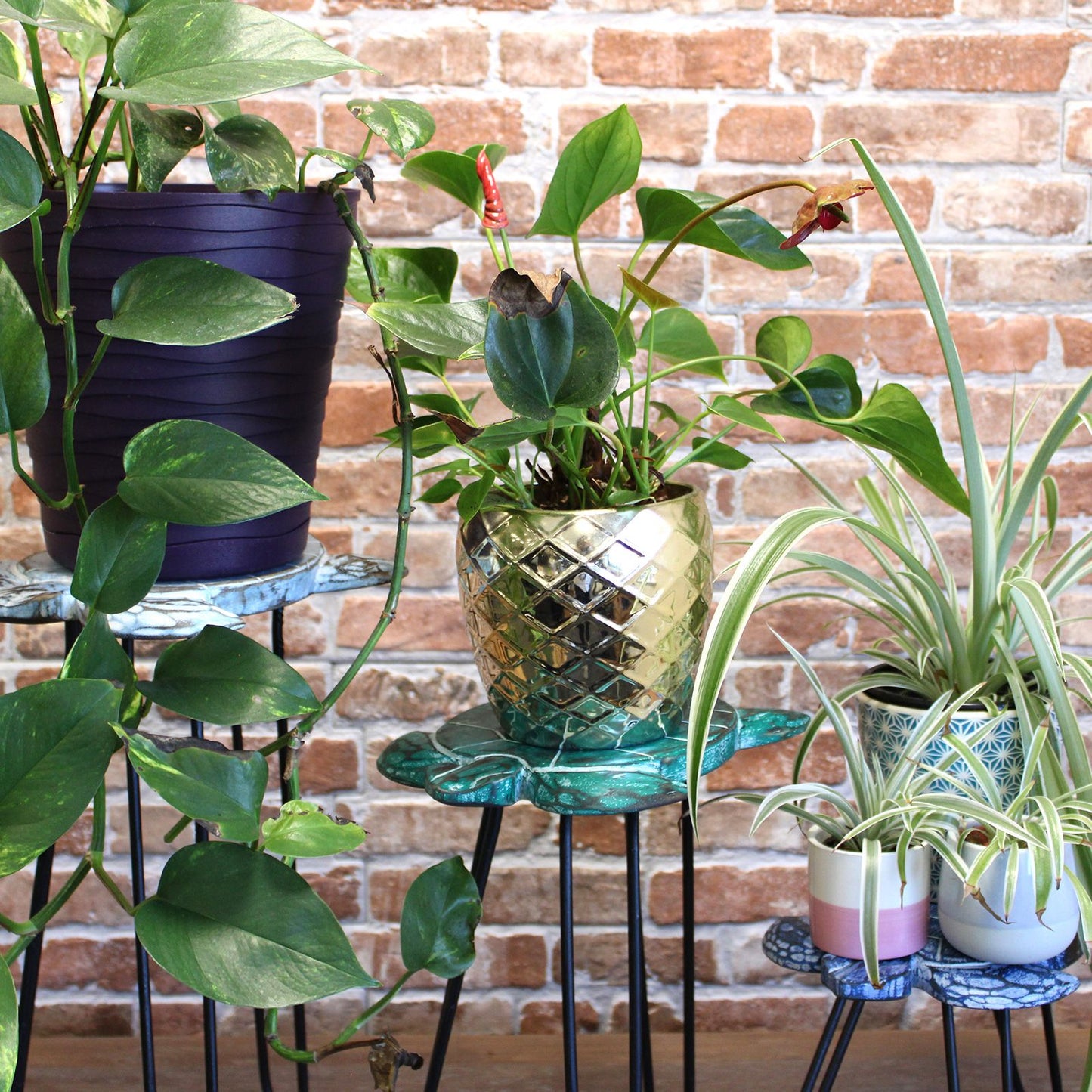 Juego de 3 maceteros de madera Gamell - Natural