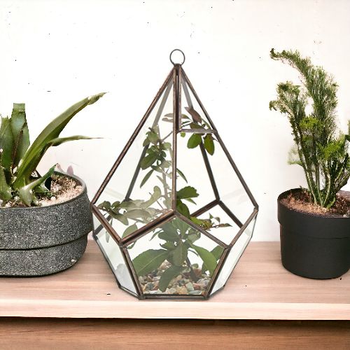 Glass Terrarium - Grand Pentagon