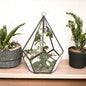 Glass Terrarium - Grand Pentagon