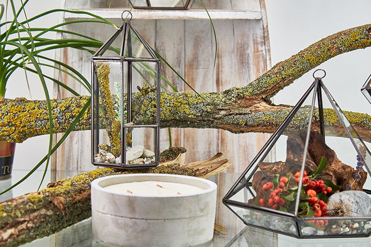 Glass Terrarium - Lantern
