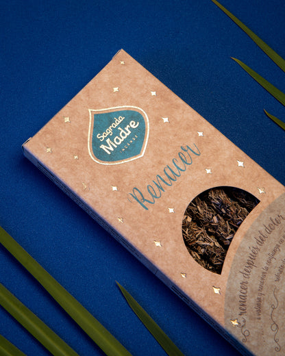 Les 5 Éléments Eau - Renaissance