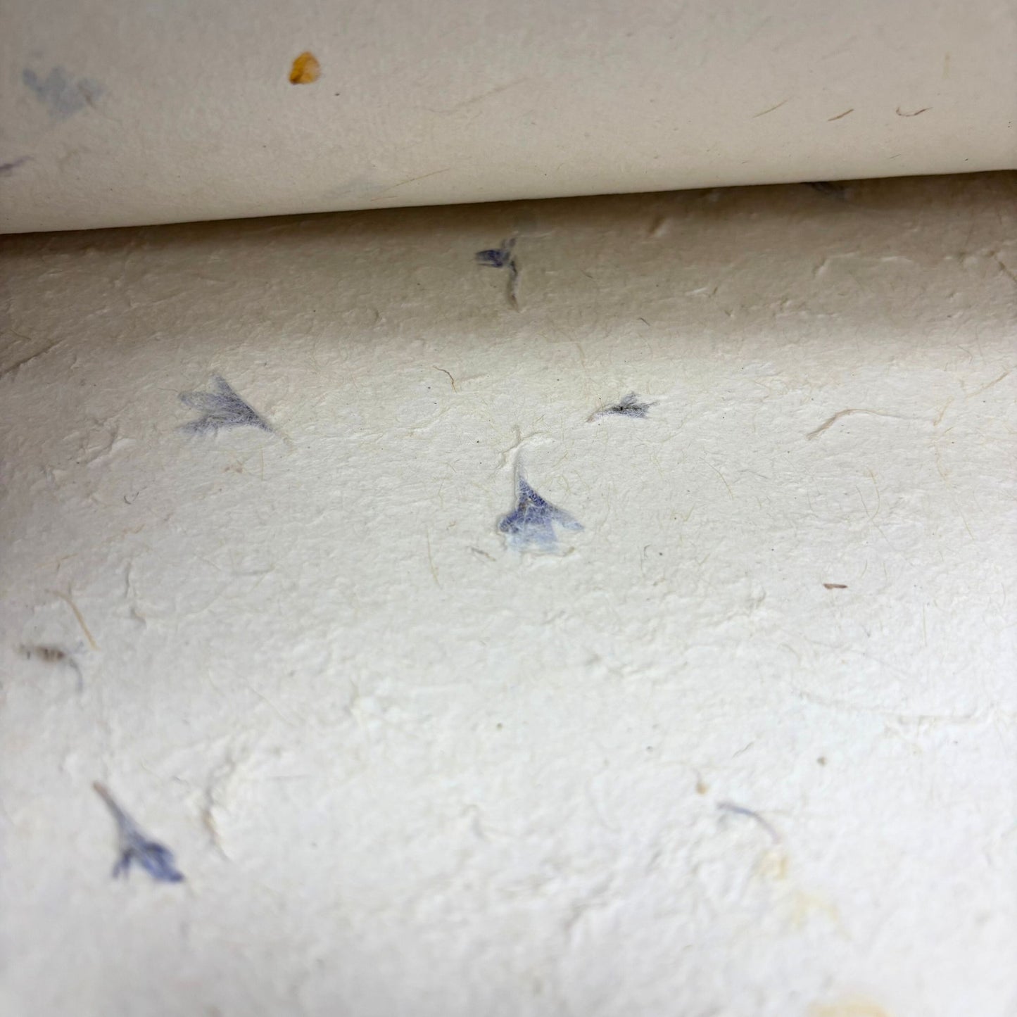 Papier cadeau artisanal Lokta - Bleuet