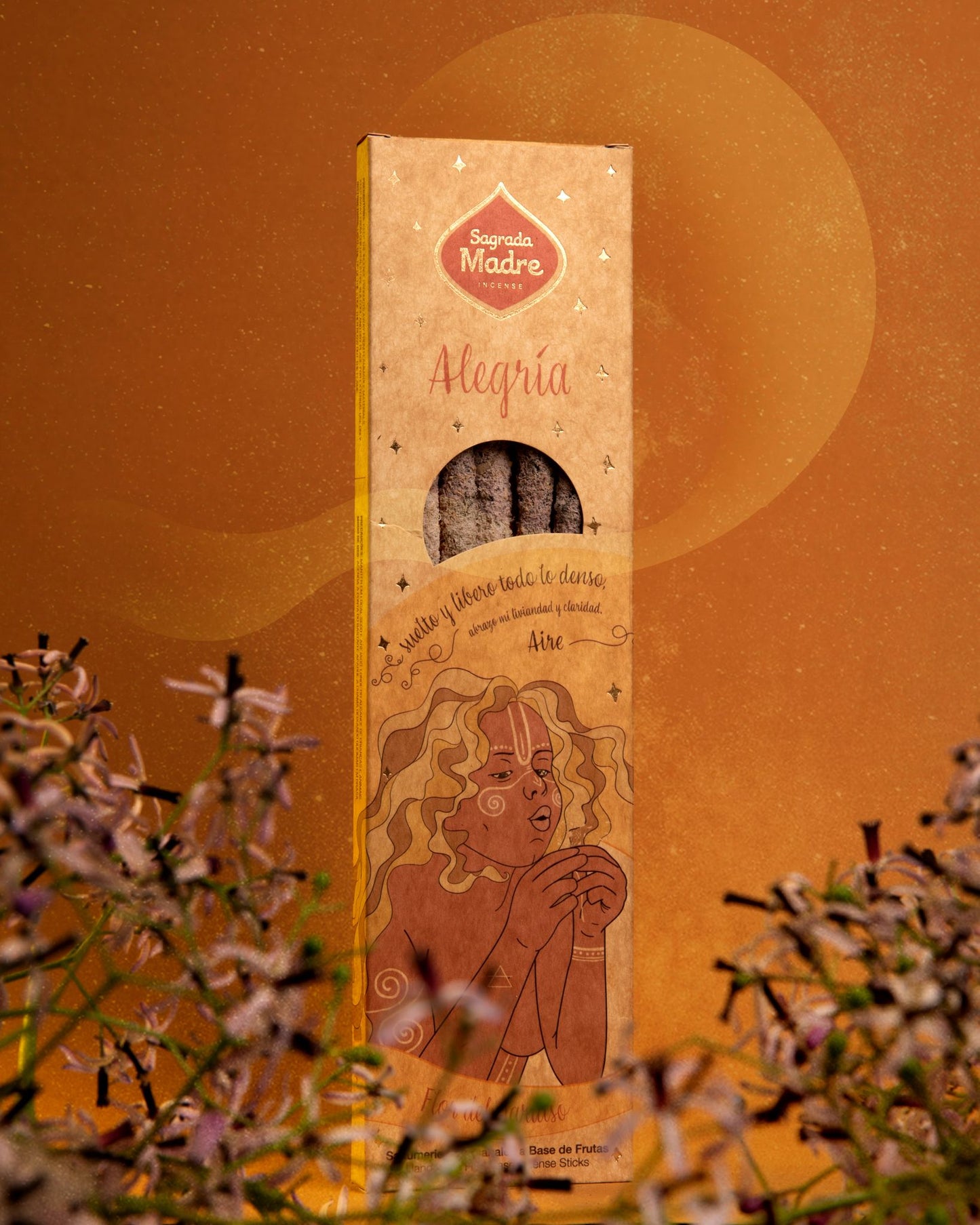 5 Éléments Air - Joie