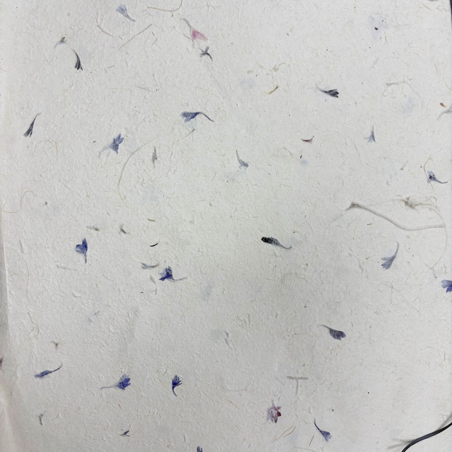 Papier cadeau artisanal Lokta - Bleuet