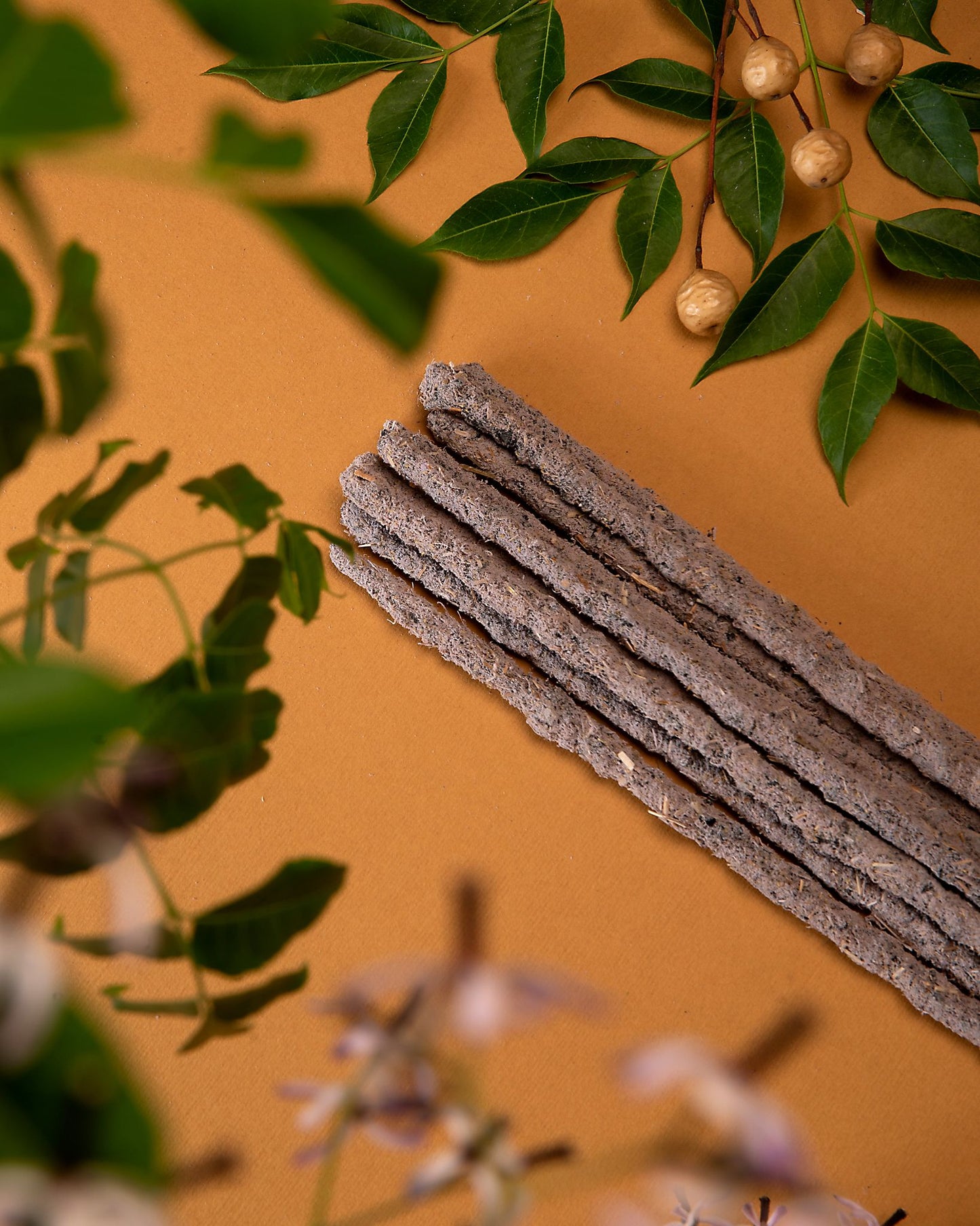 5 Éléments Air - Joie