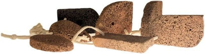 Volcanic Lava Rock - Shell