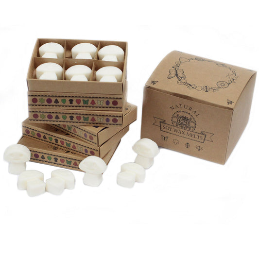 Box of 6 Soy Wax Melts - Cinnamon and Orange
