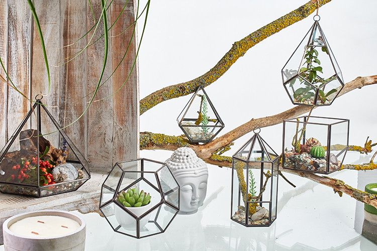 Glass Terrarium - Cube in the Corner