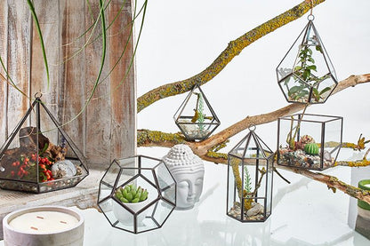 Glass Terrarium - Cube in the Corner