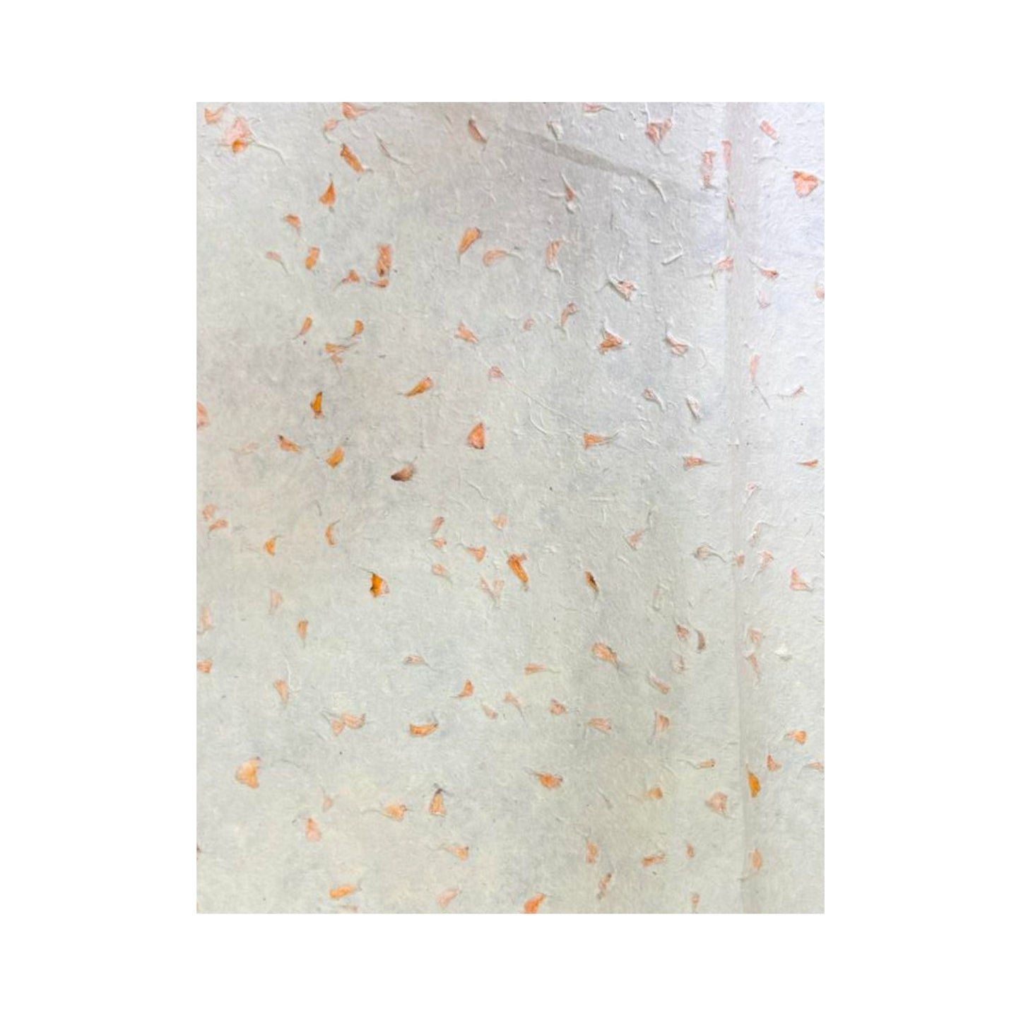 Papier cadeau artisanal Lokta - Calendula