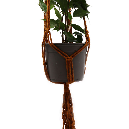 Macrame Maceta Clásico - Chocolate Med Pot