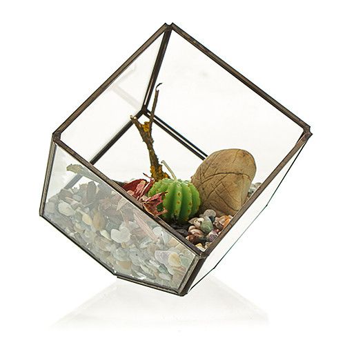 Glass Terrarium - Cube in the Corner