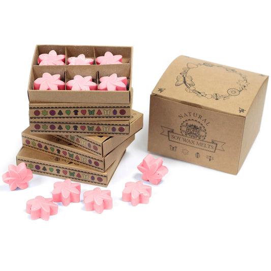 Box of 6 Soy Wax Melts - Classic Rose
