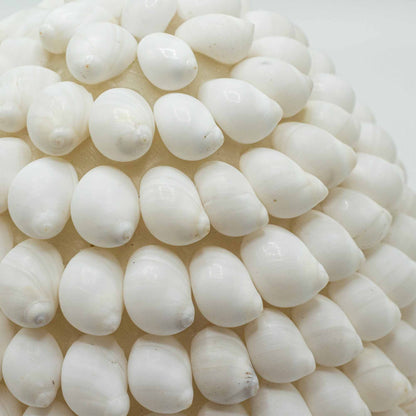 Lámpara Boho de Conchas Marinas - Concha Buting Ovalada