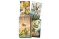 TAROT DU PETIT PRINCE (Scarabeo original). Multilingue