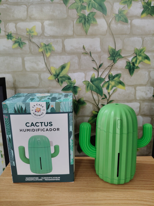 Humidificateur Cactus La Maison des Arômes