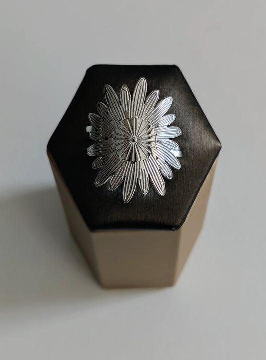Bague en acier inoxydable (réglable)